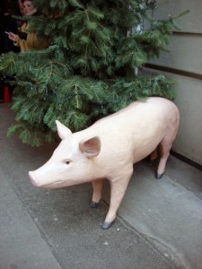 Schwein haben und h.a.p.p.y. sein! Schwein haben und h.a.p.p.y. sein!