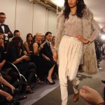 Liska by Thomas Kirchgrabner Liska by Thomas Kirchgrabner