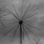 Elfenkleid Edition Black & White, Foto: Michael Dürr Elfenkleid Edition Black & White, Foto: Michael Dürr