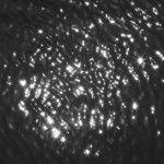 Foto: Michael Dürr Foto: Michael Dürr