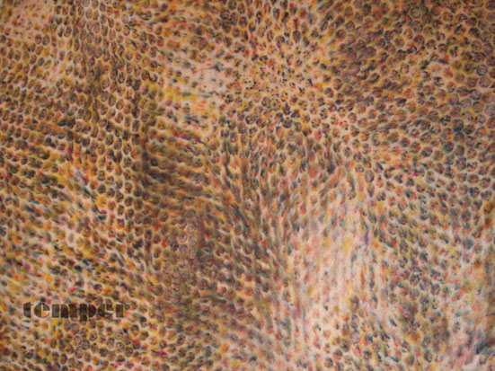 Awareness & Consciousness Hartmann Spring/Summer 2010 Awareness & Consciousness Hartmann Spring/Summer 2010