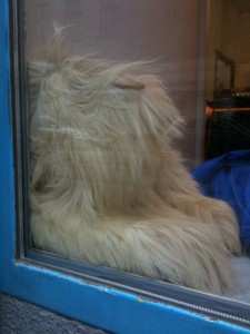 Moon-Boots, Humana Moon-Boots, Humana