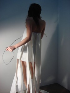 Elizaveta Fateeva: Classical Disorder