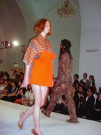 Andra Dumitrascu: Mimikry