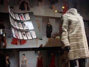 Liska, Hoher Markt, 1010 Wien