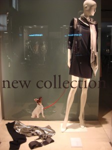 Schaufenster, Mondial, 1010 Wien