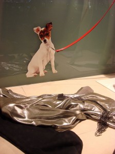 Schaufenster, Mondial, 1010 Wien