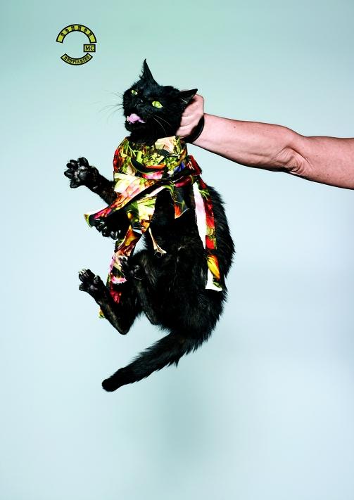 Monika Hahn für Mühlbauer, 2011